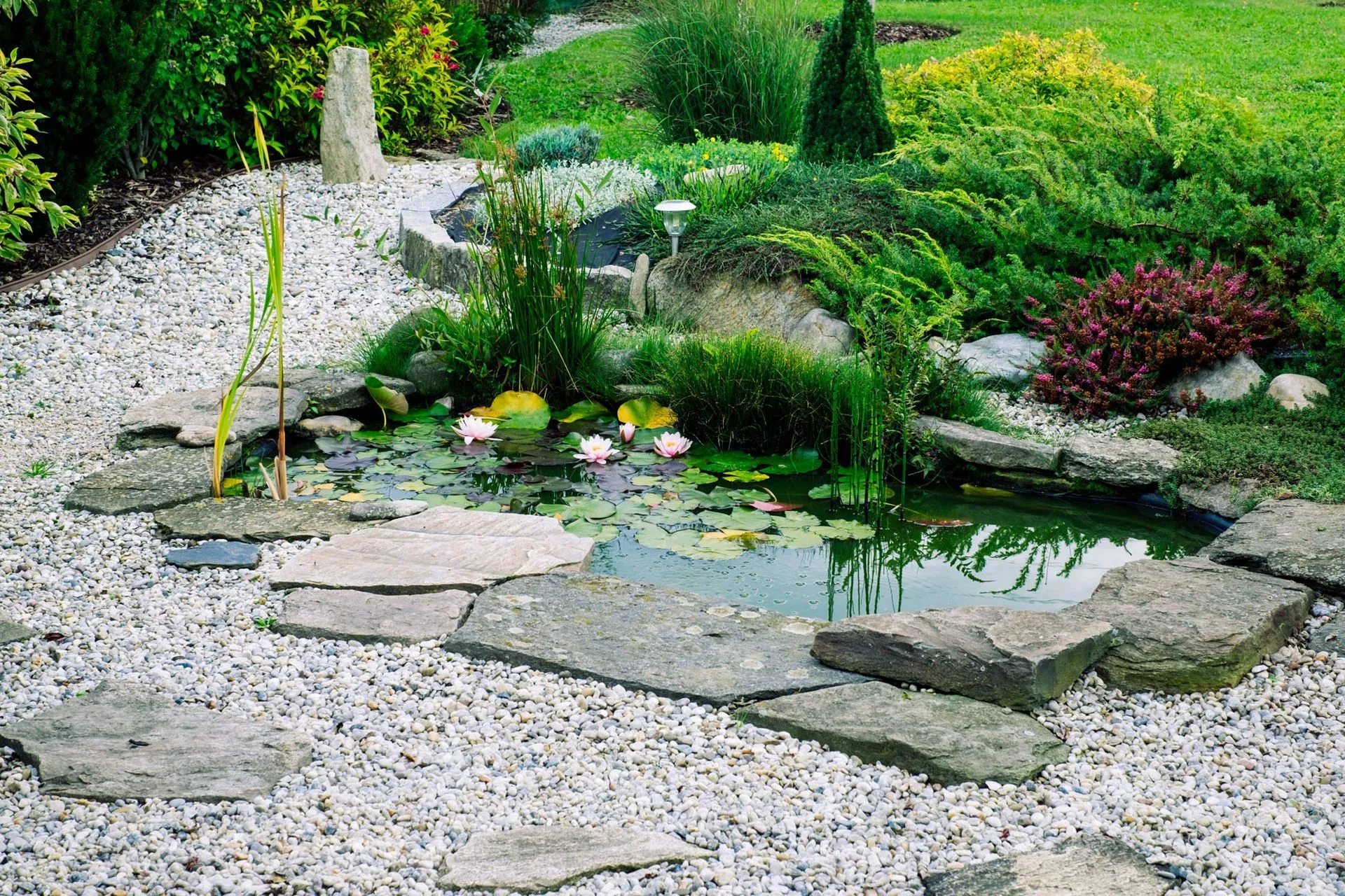 Biotop und Teich im Garten