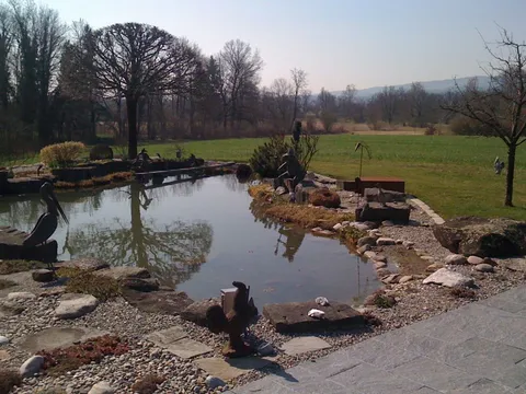 Gartenteich und Wasserelement