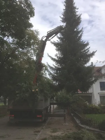 Neubepflanzungen und Beete